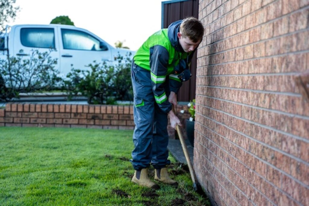 Pest and Termite Treatment