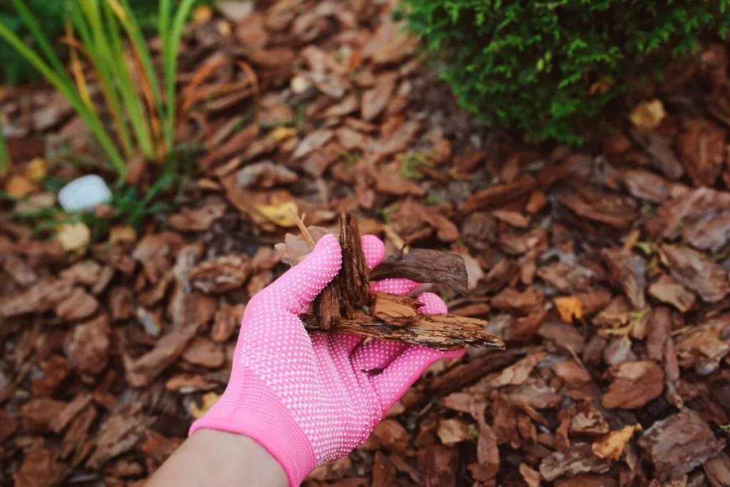 Wood Mulch